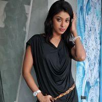 Payal Ghosh Hot New Pictures | Picture 111047